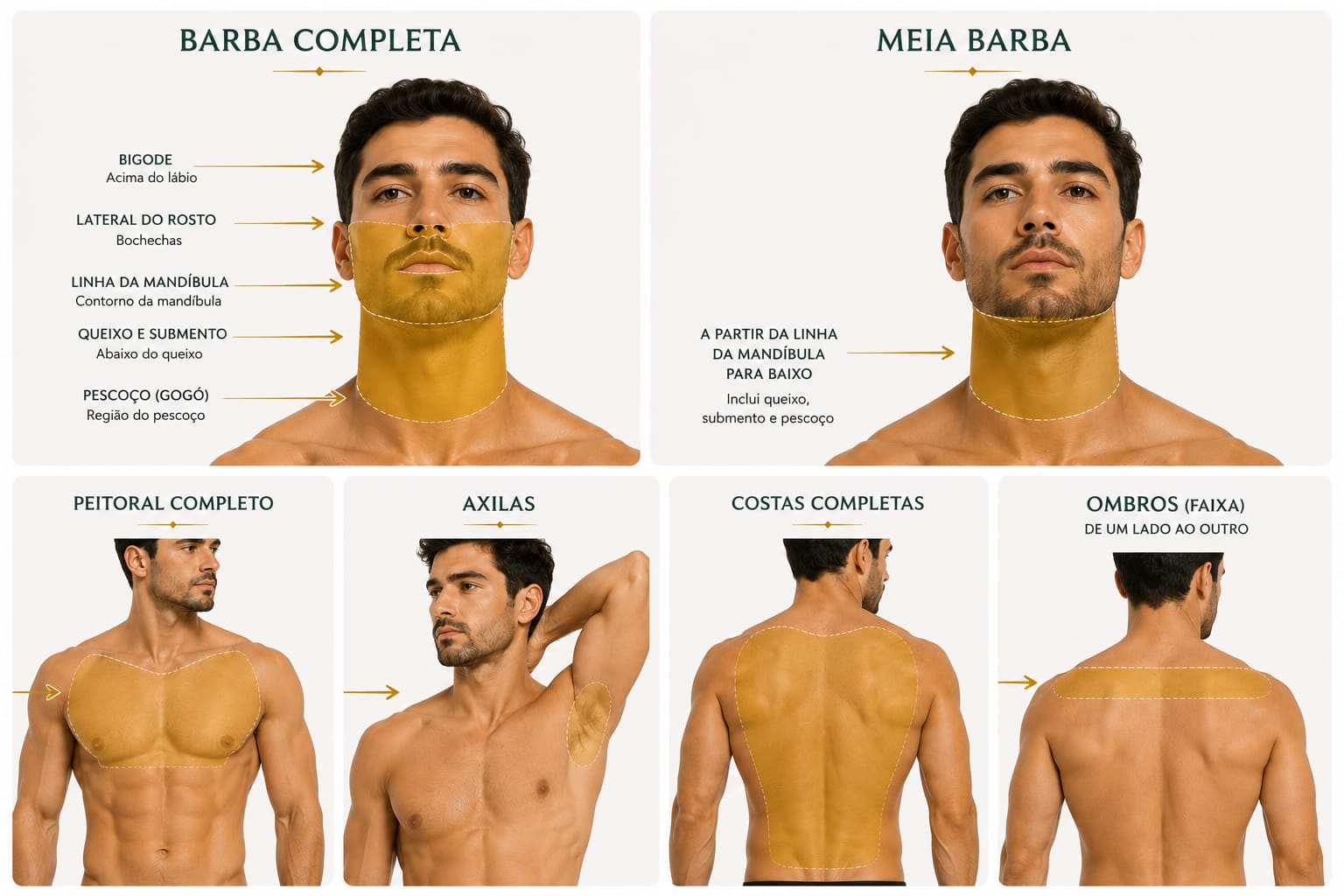 Guia de depilação a laser: Áreas masculinas